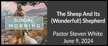 The Sheep And Its (Wonderful!) Shepherd